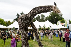 giraffe