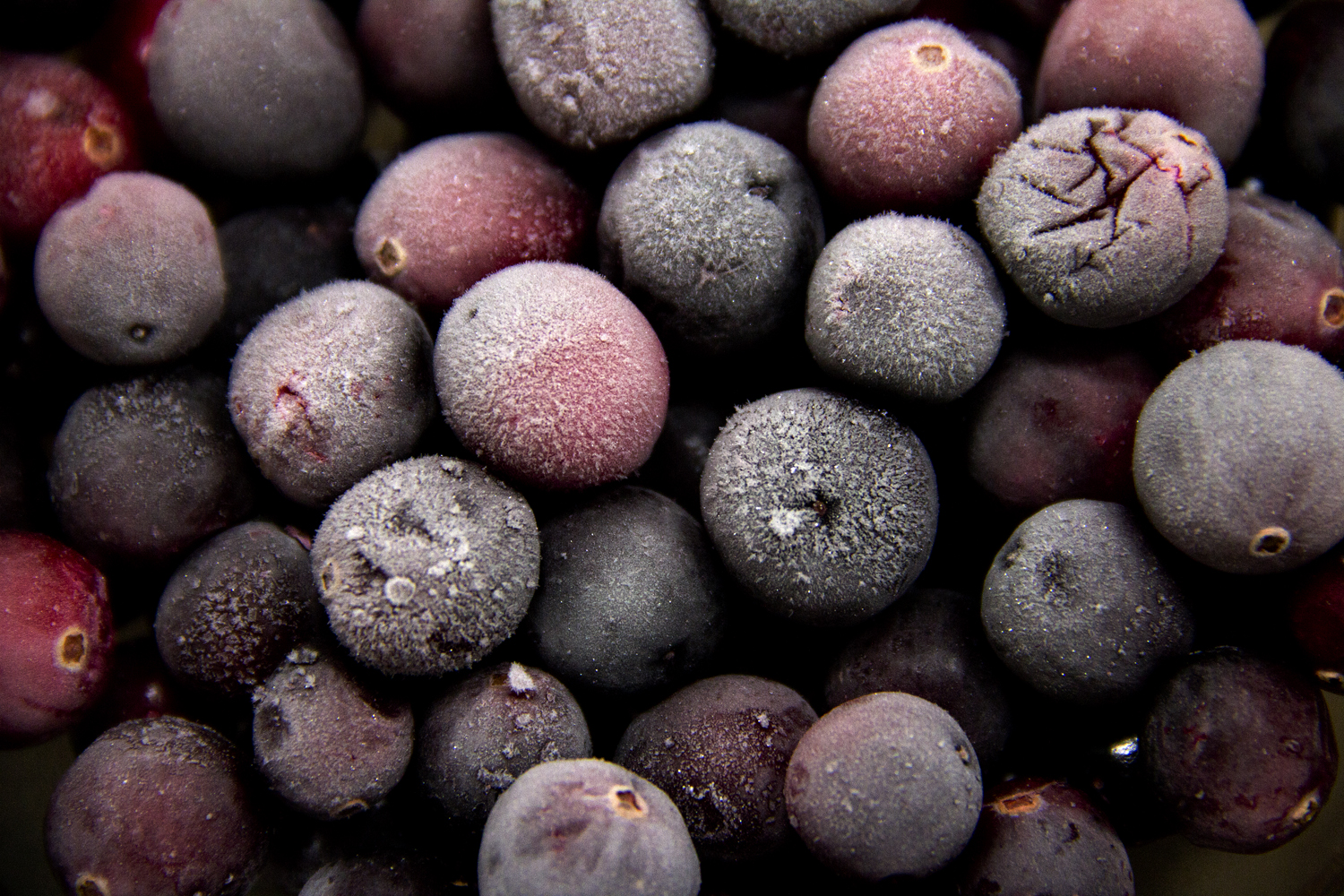 When extracting juice from cranberries, the frozen variety yield more juice because the freezing process breaks down their cellular walls.
