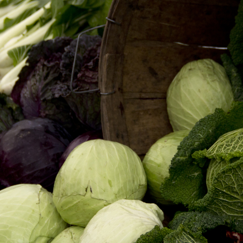 cabbages_farmersmarket