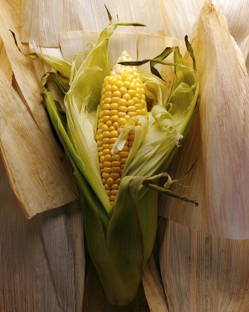 MCAH_GRITS_Opener_NPM_CH_104125_8x10crop